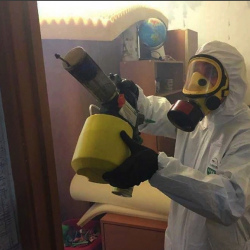Уничтожение клопов в квартире. Дмитровский Погост